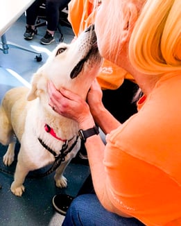 A dog with beige fur places its snout against the face of a person wearing an orange Payworks shirt, as seen over their shoulder.