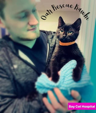 Josh holding a cat.