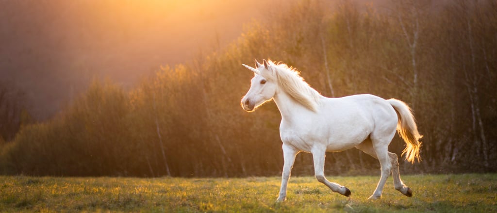HR Head to Head: Recruiting a “unicorn” employee versus cultivating your own 