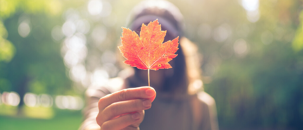 An individual holding a maple leaf accompanied by text that reads, "just like you, we're a Canadian business and proud of it".  