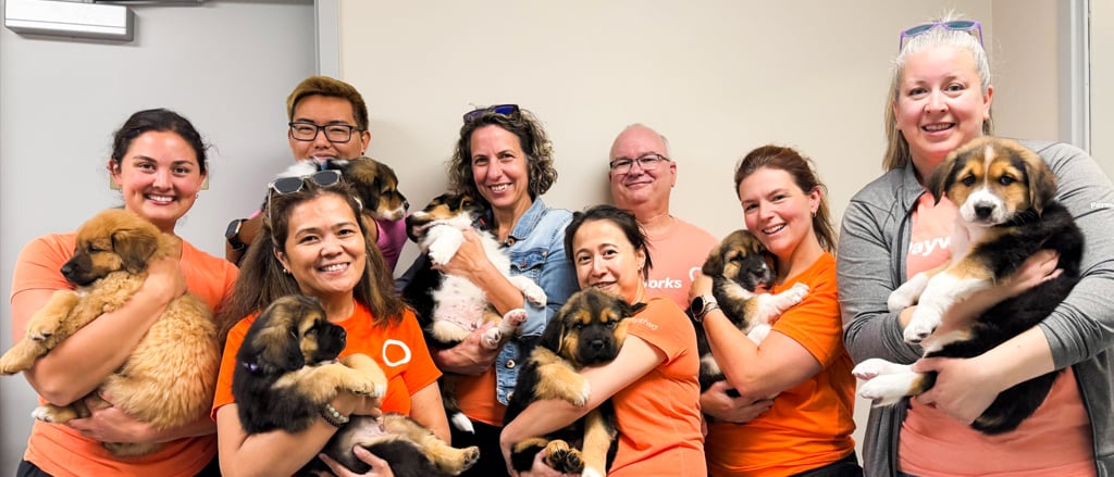 So fresh and so clean: how we’ve been brightening up our communities 