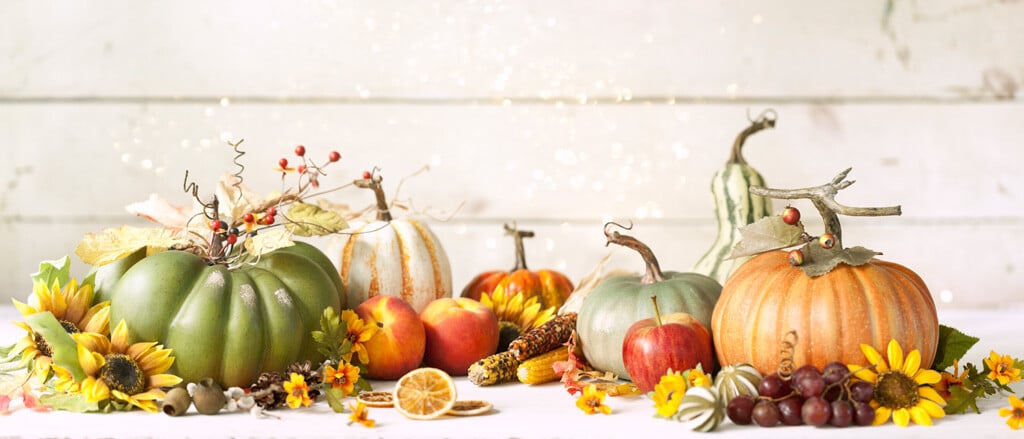 Six gourds sitting on a white countertop with various fall flowers and fruit surrounding them accompanied by text that reads, “what a spread: Thanksgiving stat holiday info by province & territory”.  